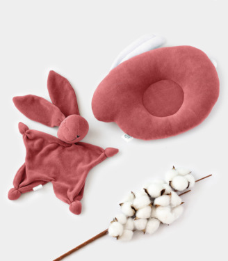 Комплект подушка+комфортер Суха Троянда