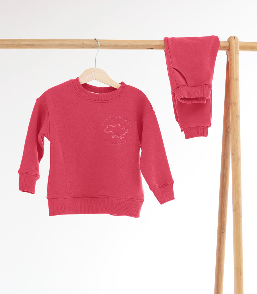 Костюм Basic з вишивкою “Малиновий”